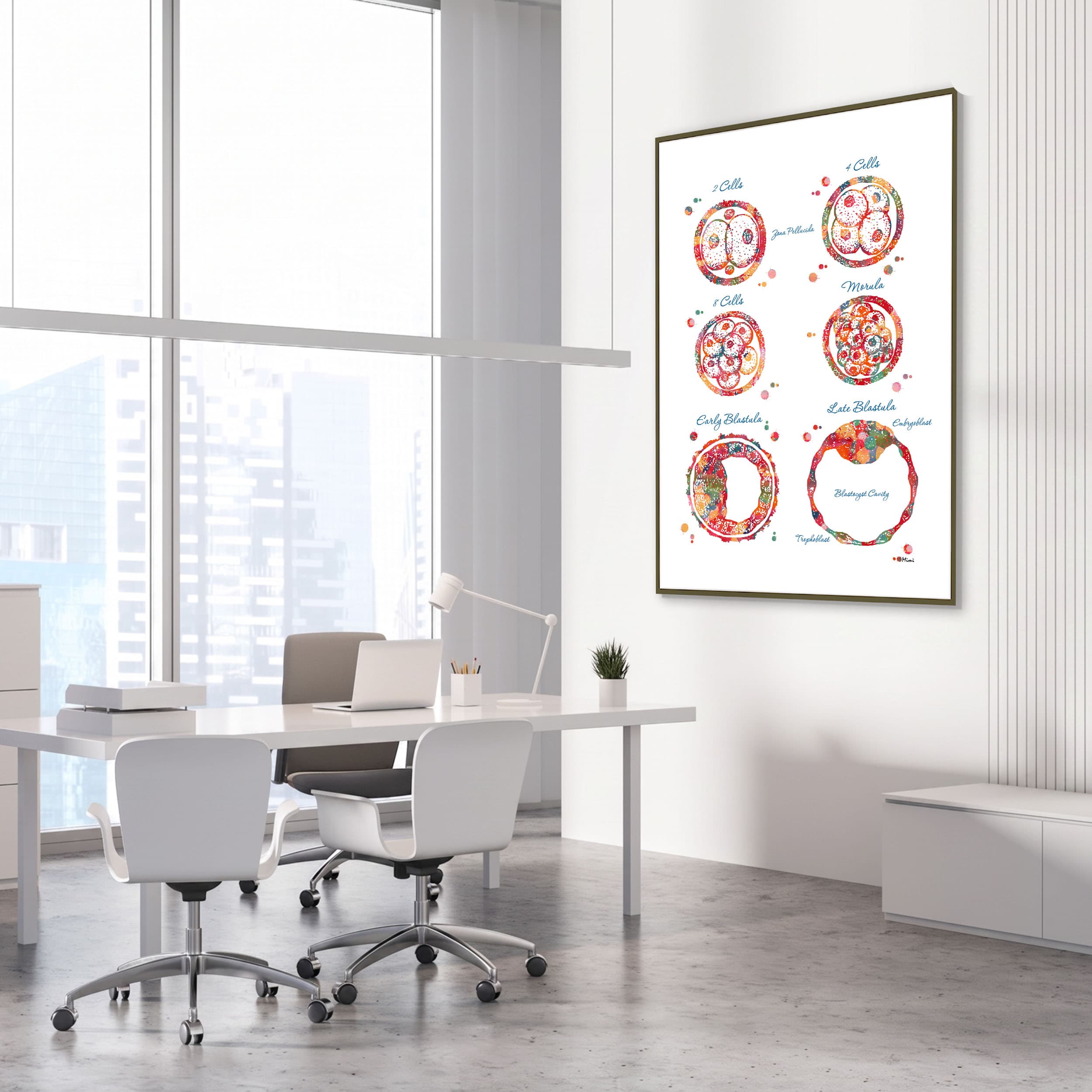 Framed embryogenesis & ivf watercolor print in an OB-GYN clinic