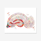 Golgi Hippocampus Neuron watercolor art print for neuroscience decor wall decor