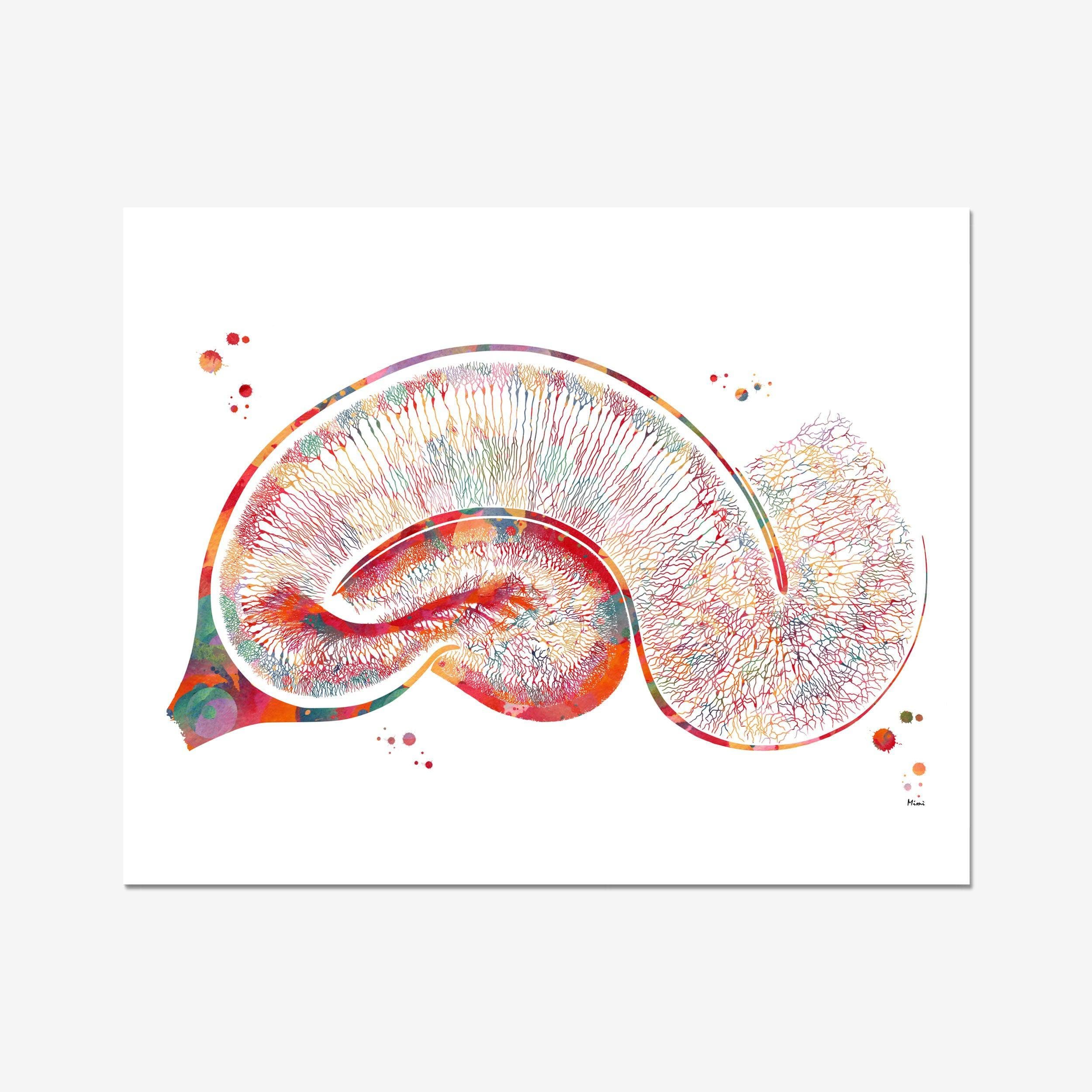 Golgi Hippocampus Neuron watercolor art print for neuroscience decor wall decor
