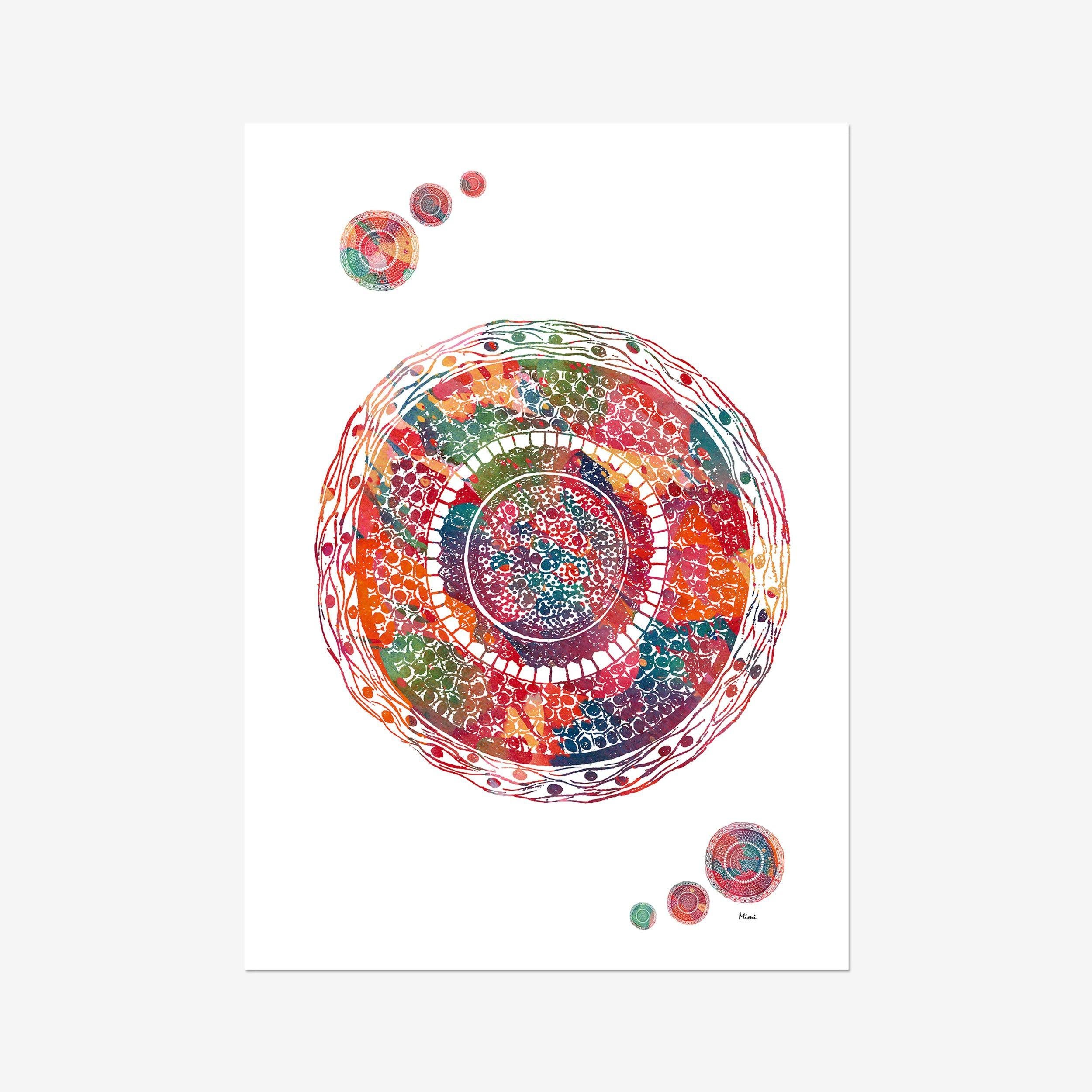 Hair Anatomy watercolor art print for dermatology clinic wall decor