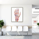 Framed hand & radiocarpal joint watercolor print in a clinic waiting room