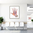 Framed hand muscles anatomy watercolor print in a clinic waiting room