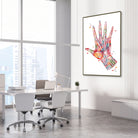 Framed hand muscles anatomy watercolor print in an orthopedic clinic