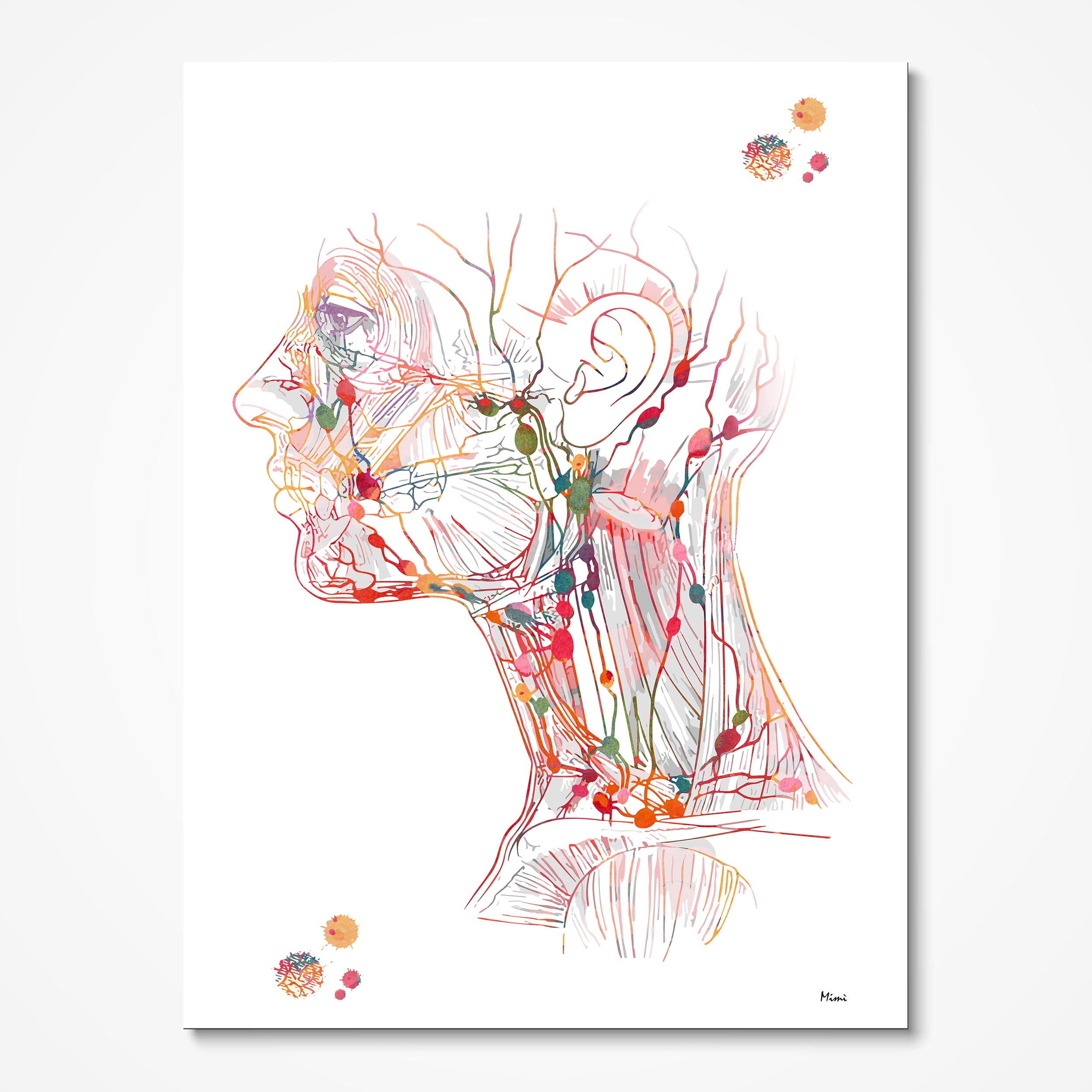 Head and neck lymph nodes watercolor art print for endocrinology clinic wall decor