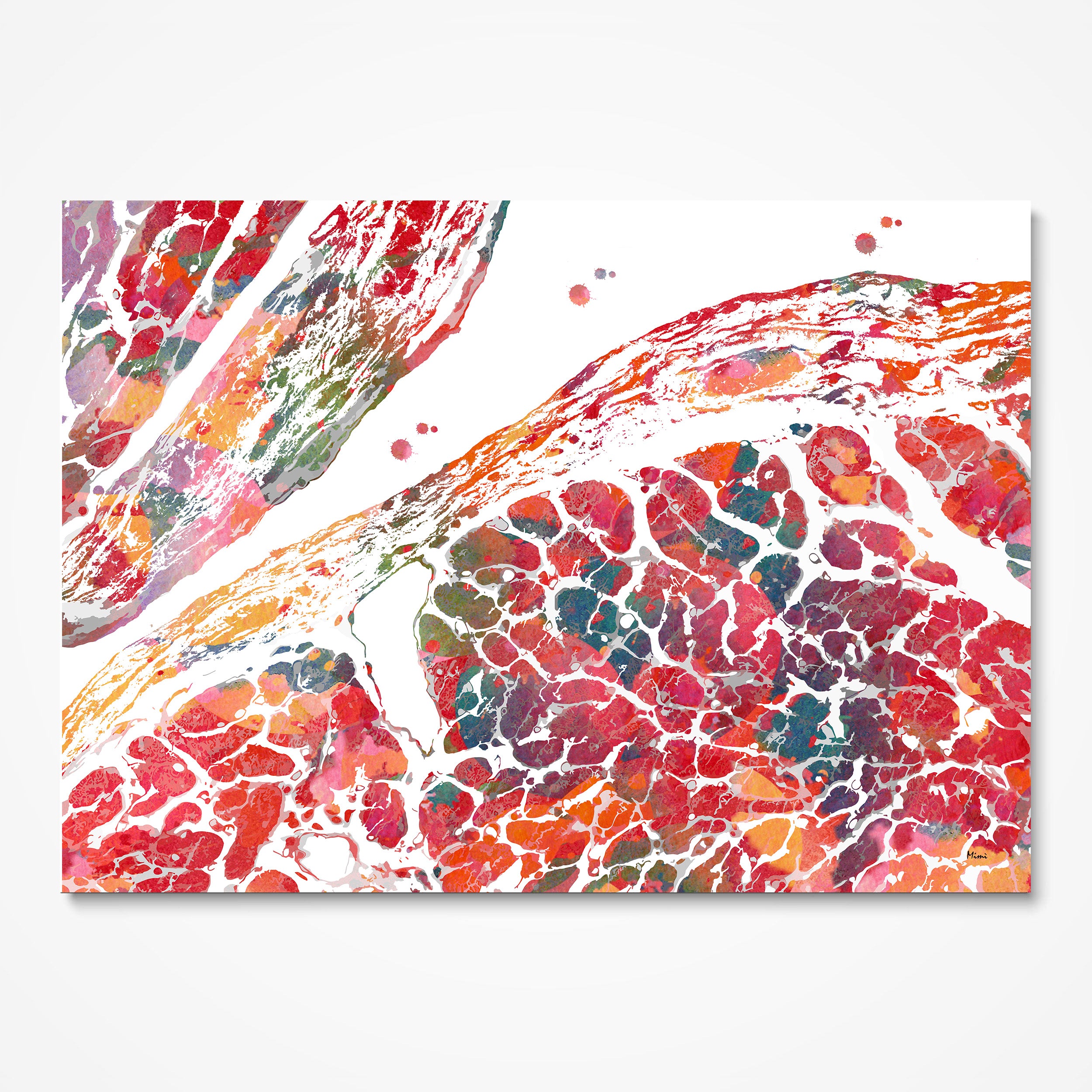 Heart ventricle and endocardium watercolor art print for cardiology clinic wall decor
