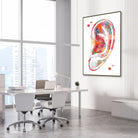 Framed human ear anatomy watercolor print in an ENT clinic