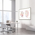Framed human heart anterior and posterior view watercolor print in a cardiology clinic