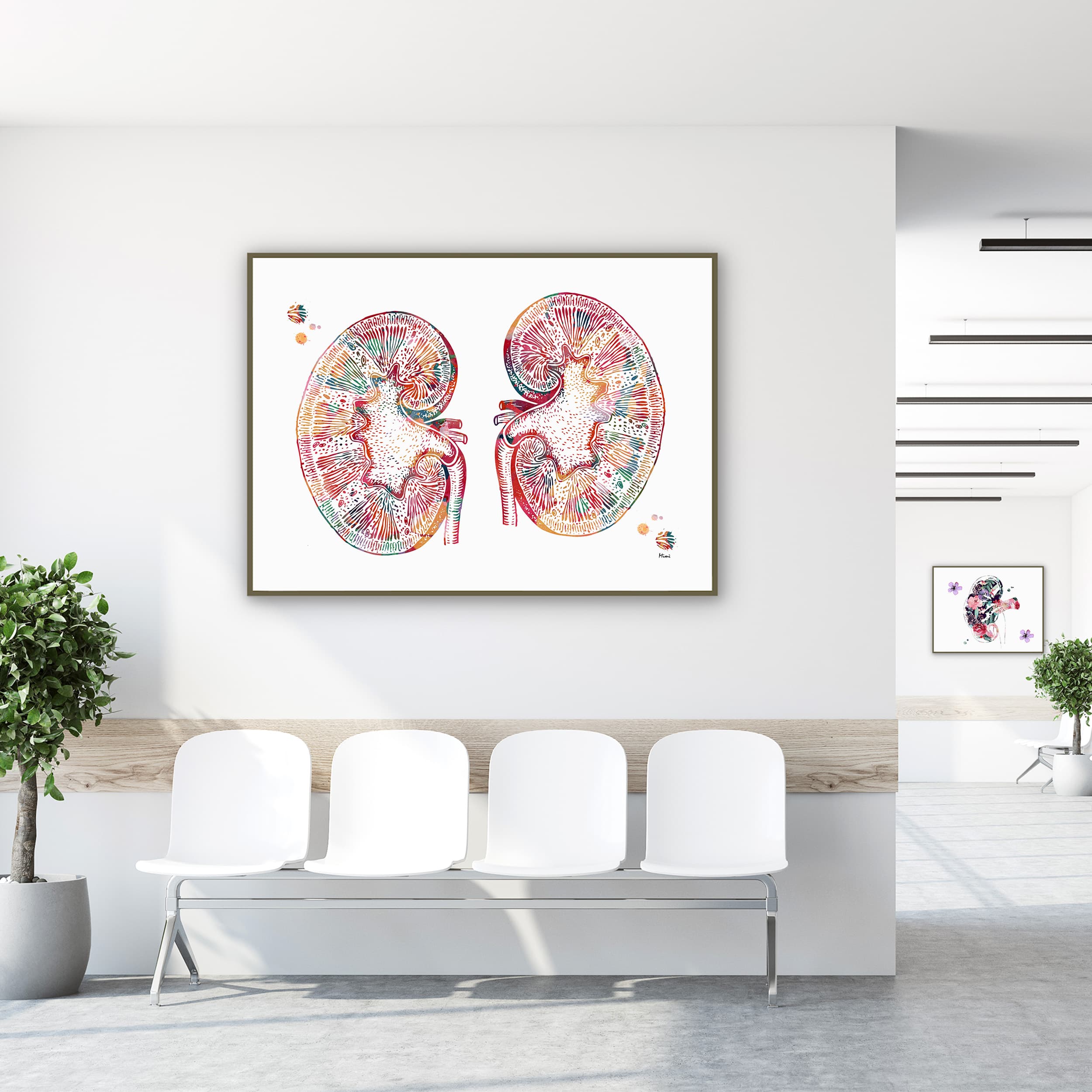 Framed human kidneys anatomy watercolor print in a clinic waiting room