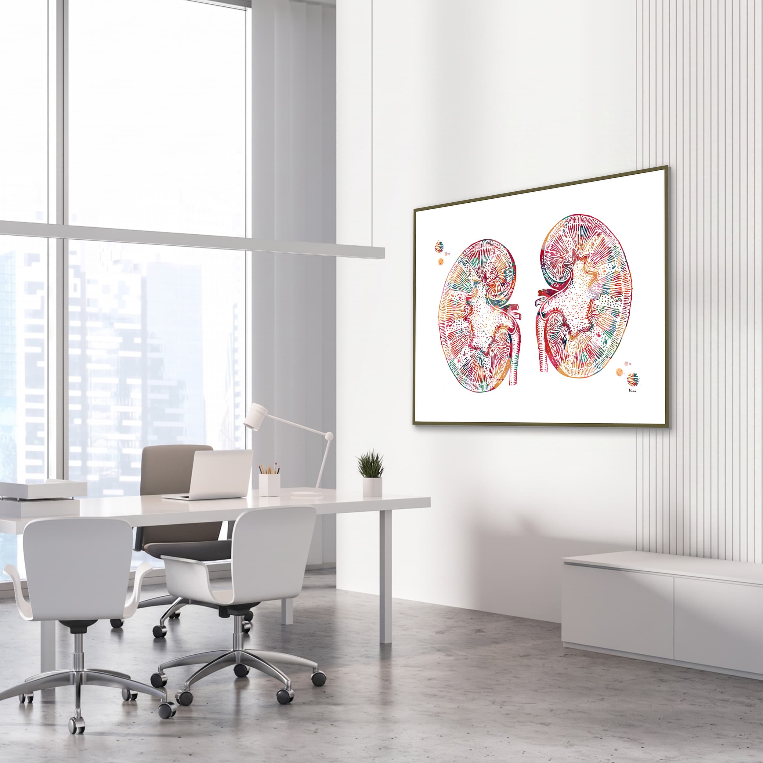 Framed human kidneys anatomy watercolor print in a nephrology clinic