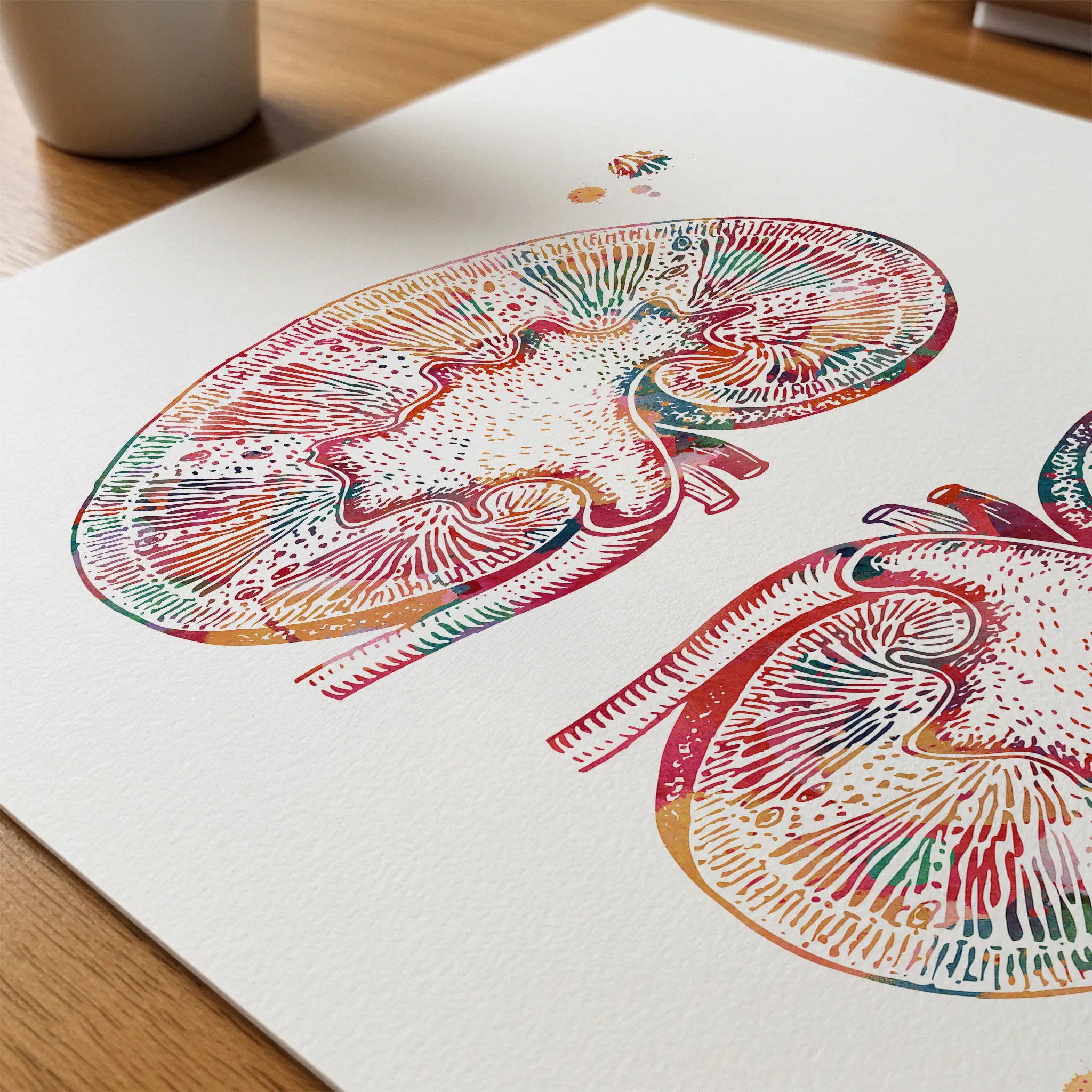 Close-up of human kidneys anatomy watercolor print showing paper texture and grain