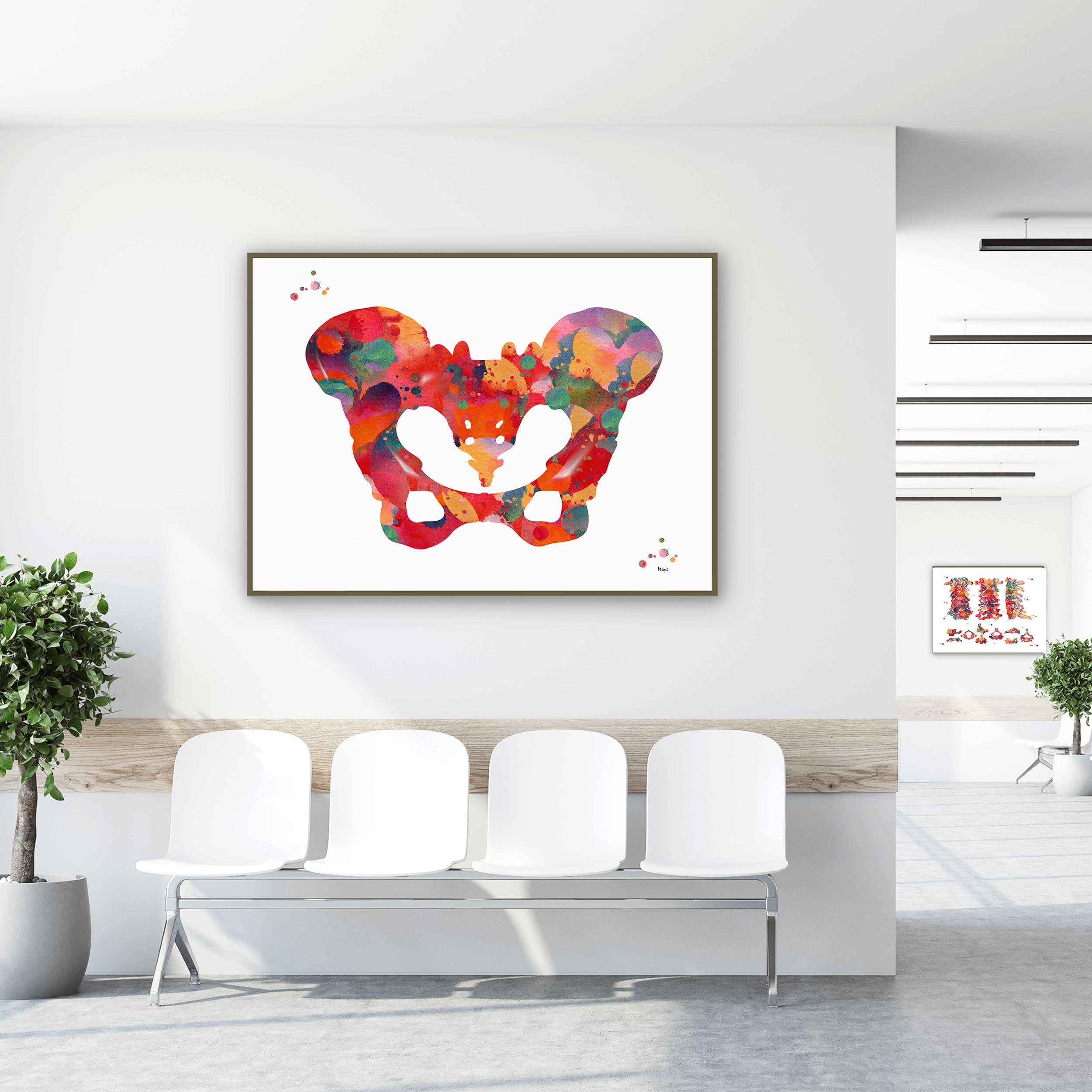 Framed human pelvis anatomy watercolor print in a clinic waiting room