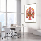 Framed human rib cage anatomy watercolor print in an orthopedic clinic
