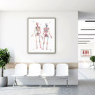Framed human skeleton anatomy watercolor print in a clinic waiting room