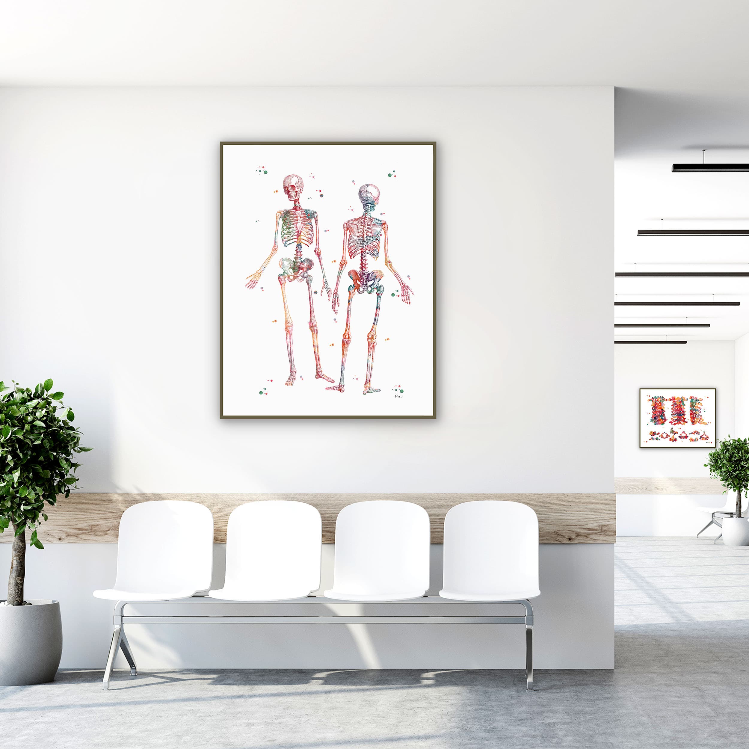 Framed human skeleton anatomy watercolor print in a clinic waiting room