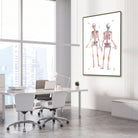 Human Skeleton Anatomy watercolor art print for orthopedic clinic wall decor