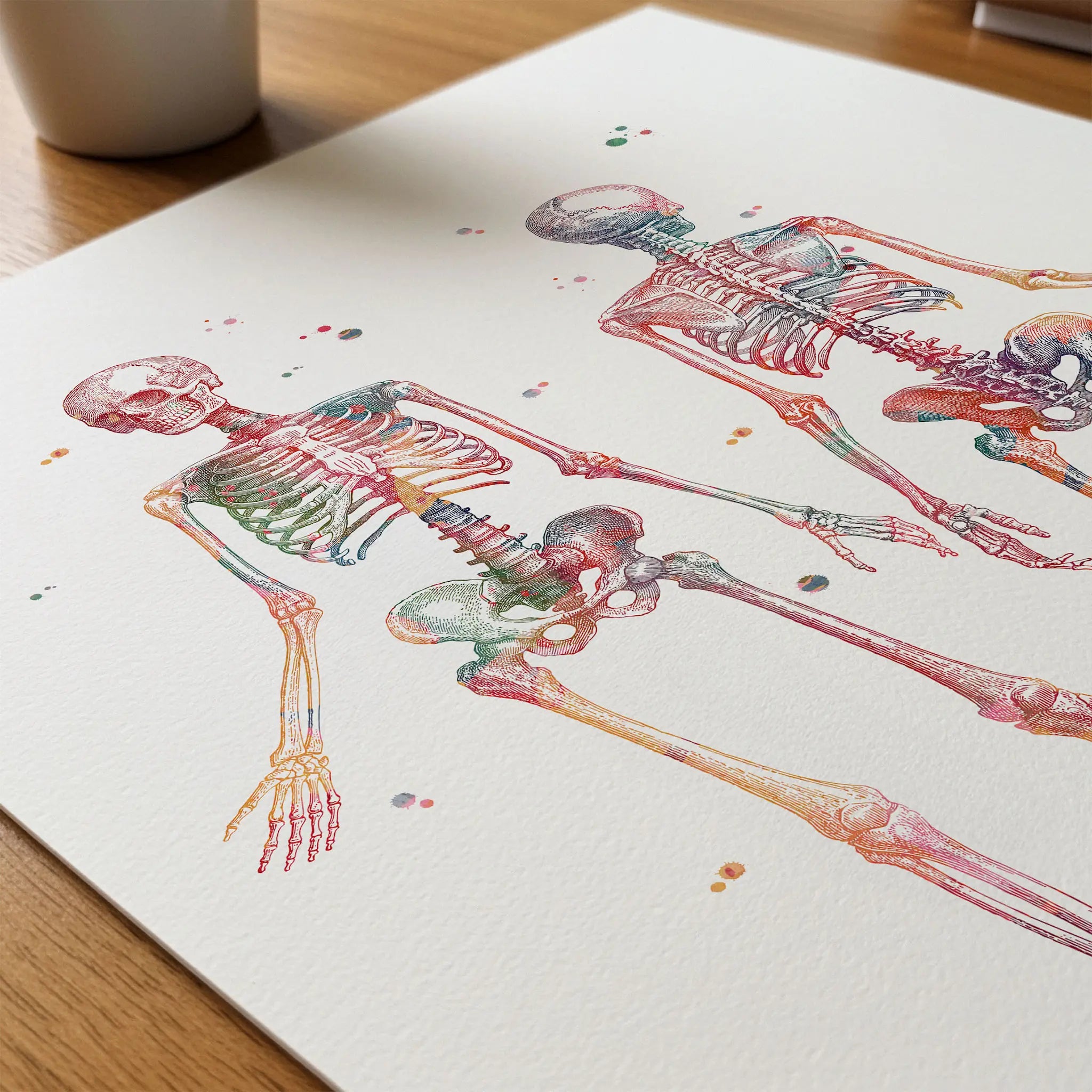 Close-up of human skeleton anatomy watercolor print showing paper texture and grain