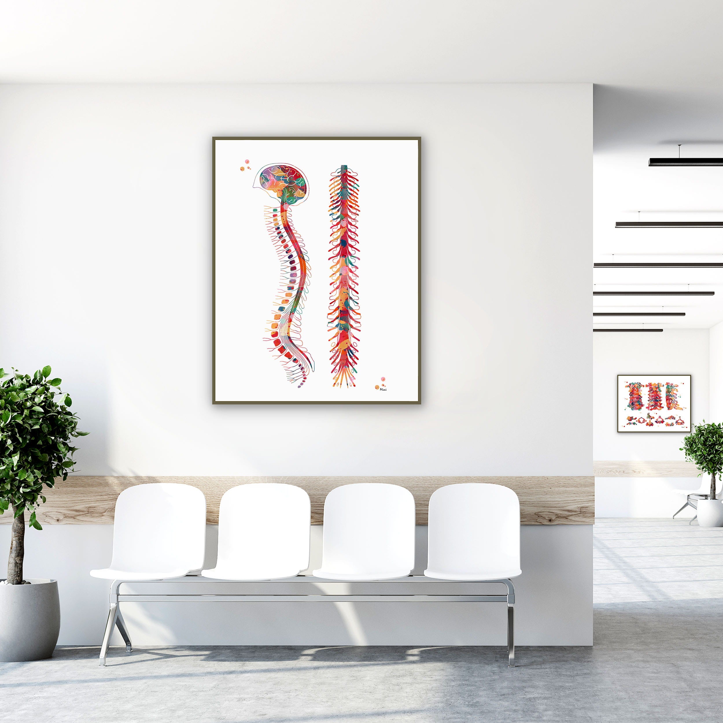 Framed human spine anatomy watercolor print in a clinic waiting room