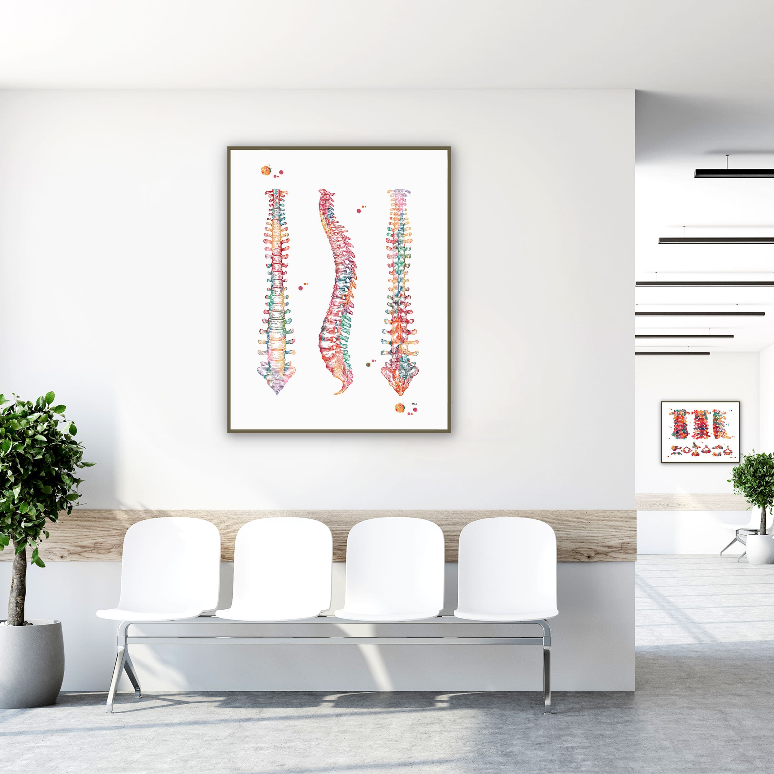 Framed human spine & spinal cord anatomy watercolor print in a clinic waiting room