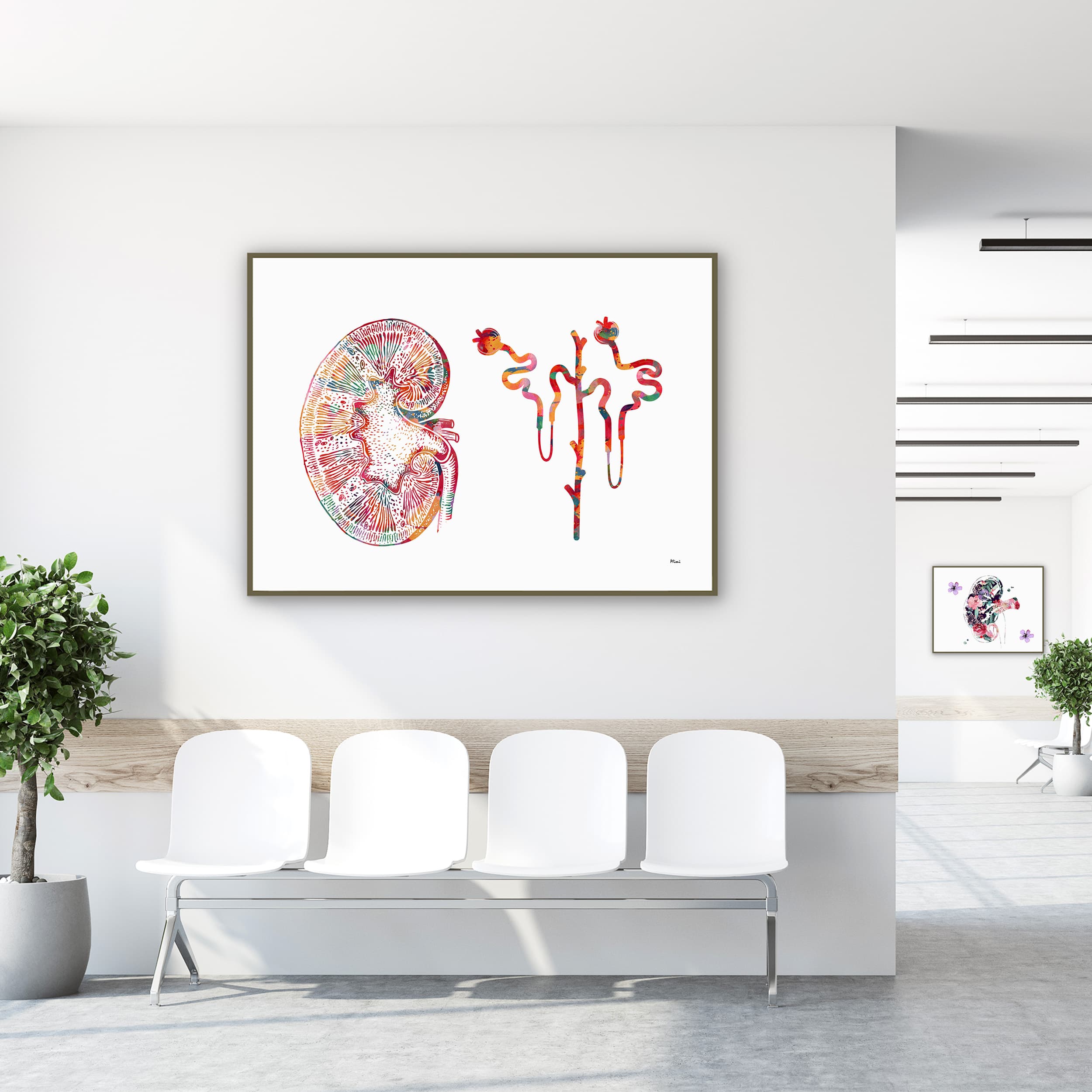Framed kidney & nephron watercolor print in a clinic waiting room