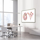 Framed kidney & nephron watercolor print in a nephrology clinic