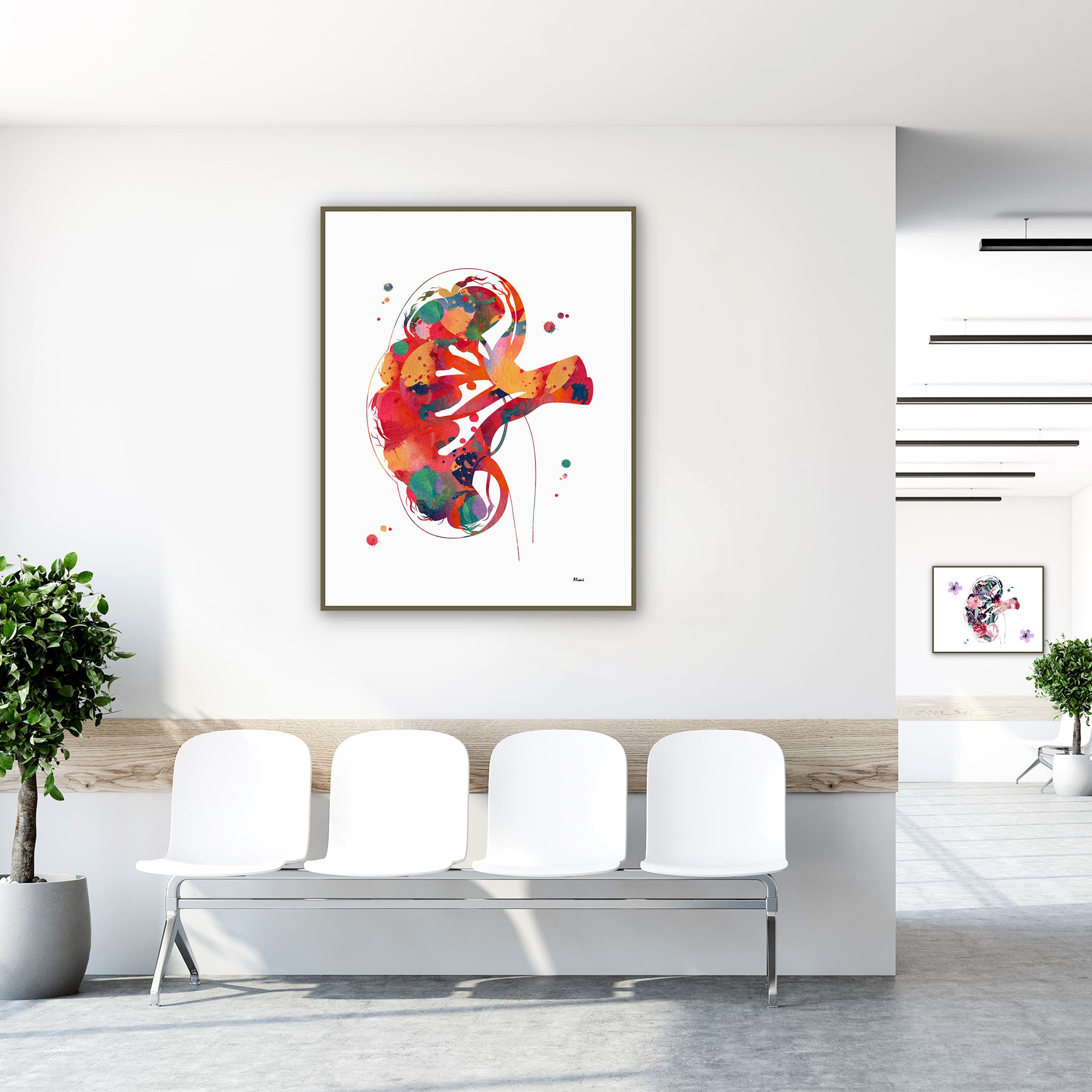 Framed kidney section anatomy watercolor print in a clinic waiting room