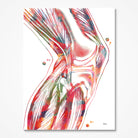 colorful knee anatomy watercolor print