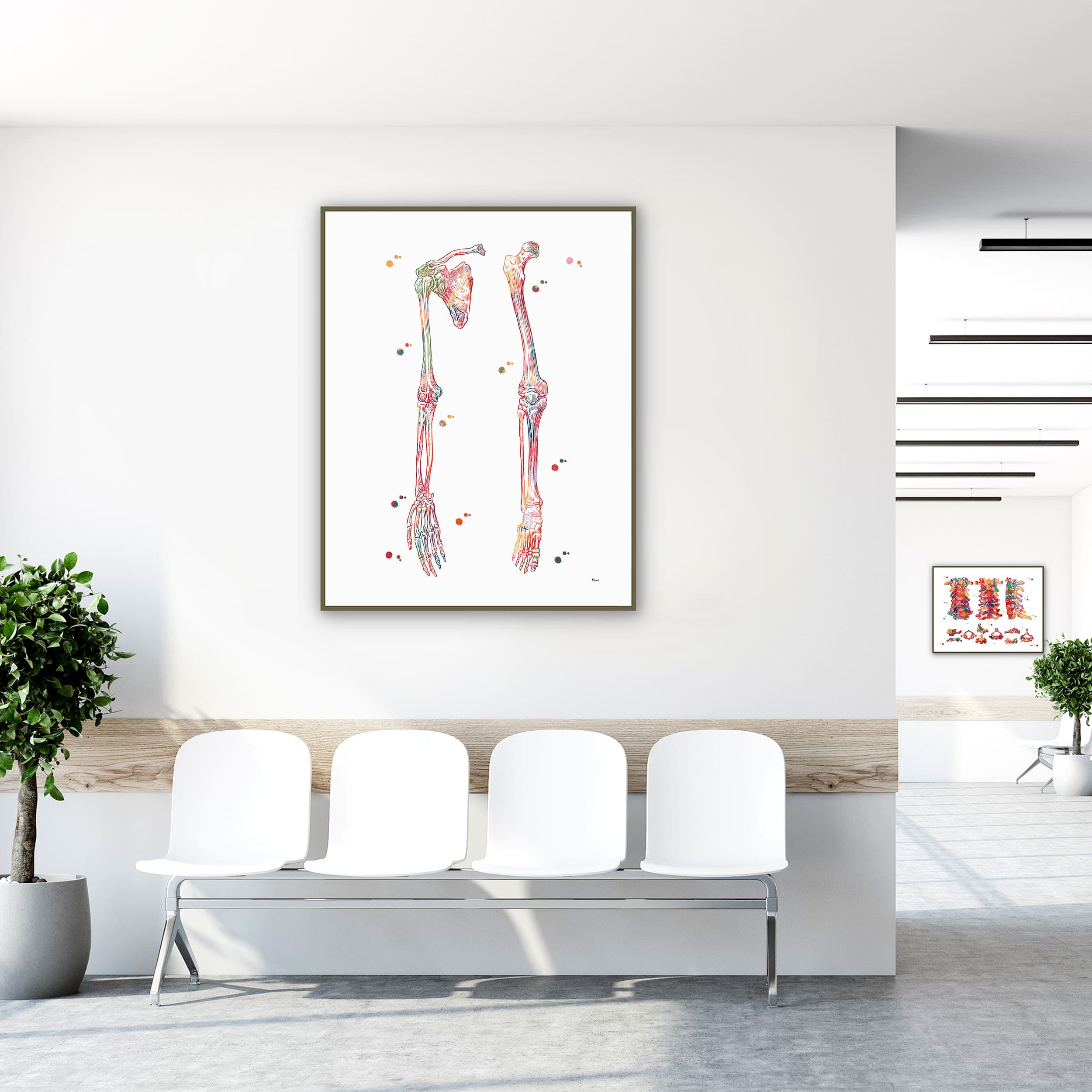 Framed limb bones & ligaments watercolor print in a clinic waiting room