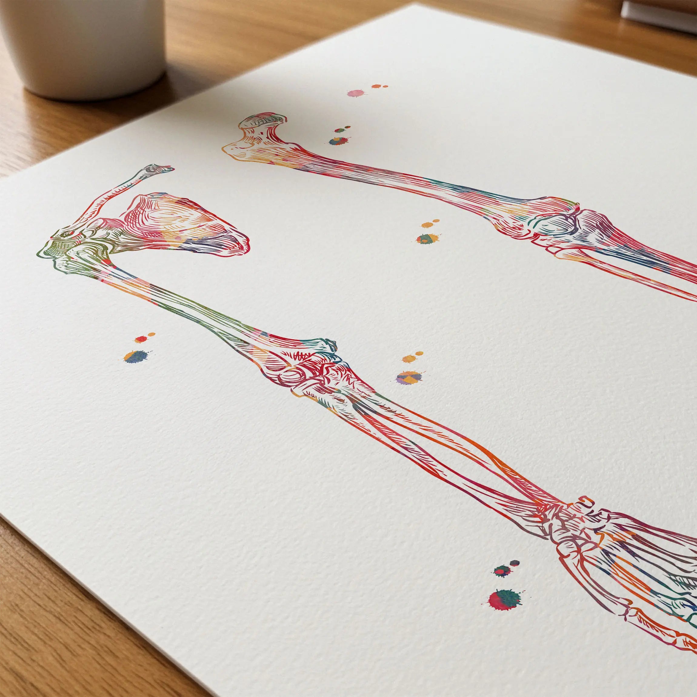 Close-up of limb bones & ligaments watercolor print showing paper texture and grain