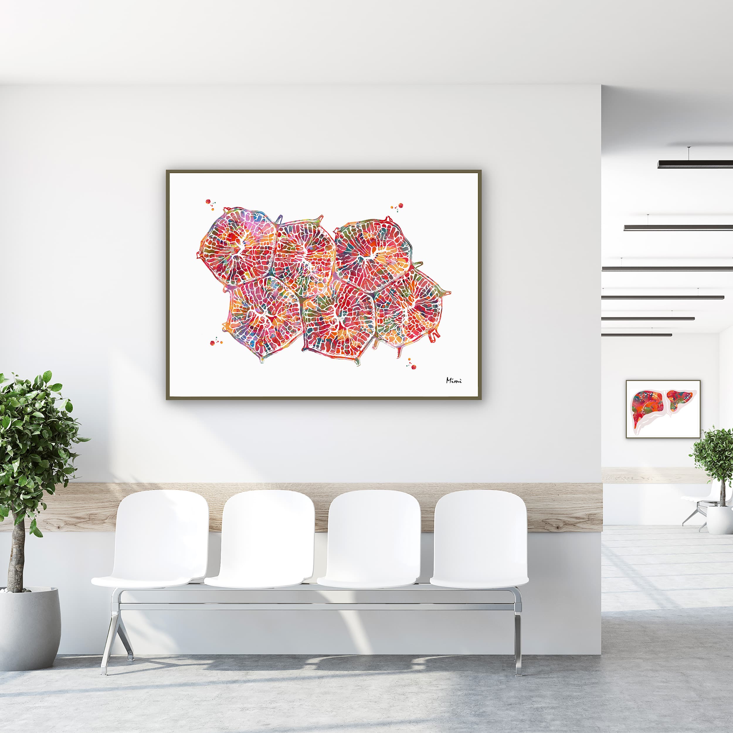 Framed liver lobules watercolor print in a clinic waiting room