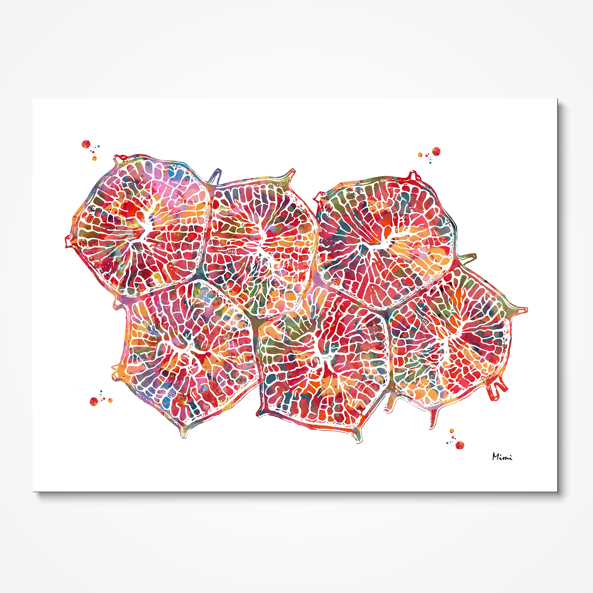 Liver Lobules watercolor art print for hepatology clinic wall decor