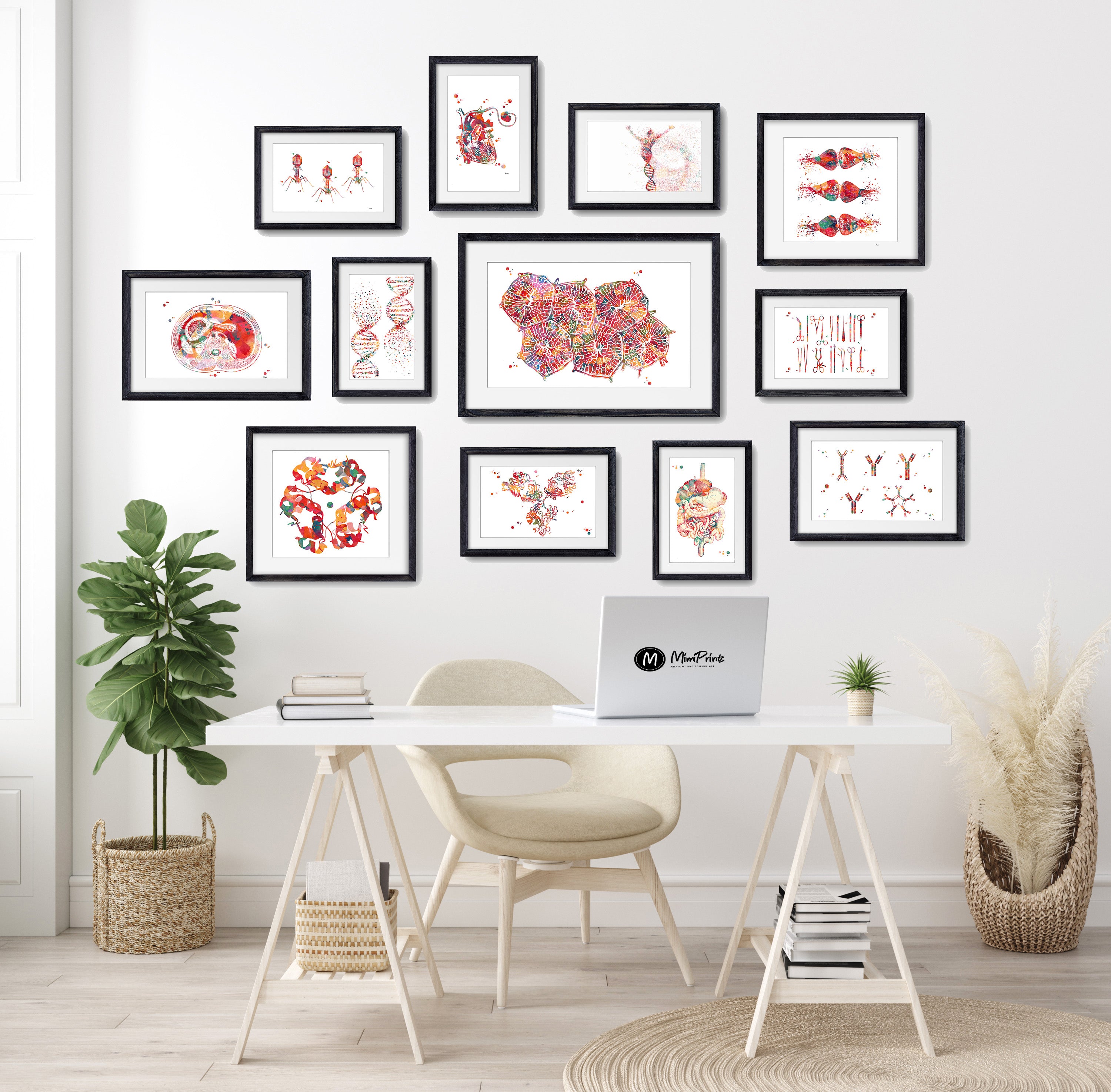 Liver Lobules Anatomy Print 2