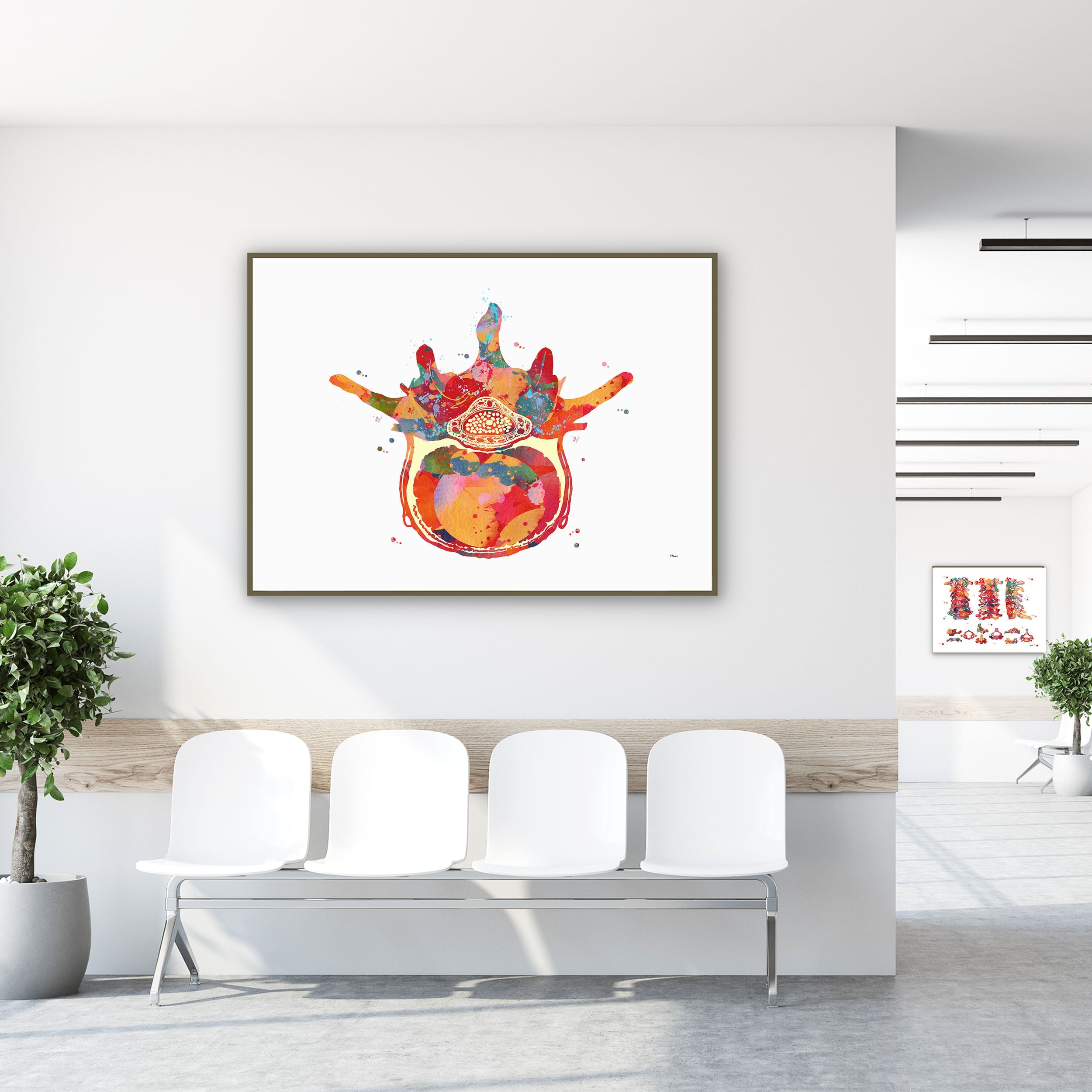 Framed lumbar vertebra anatomy watercolor print in a clinic waiting room