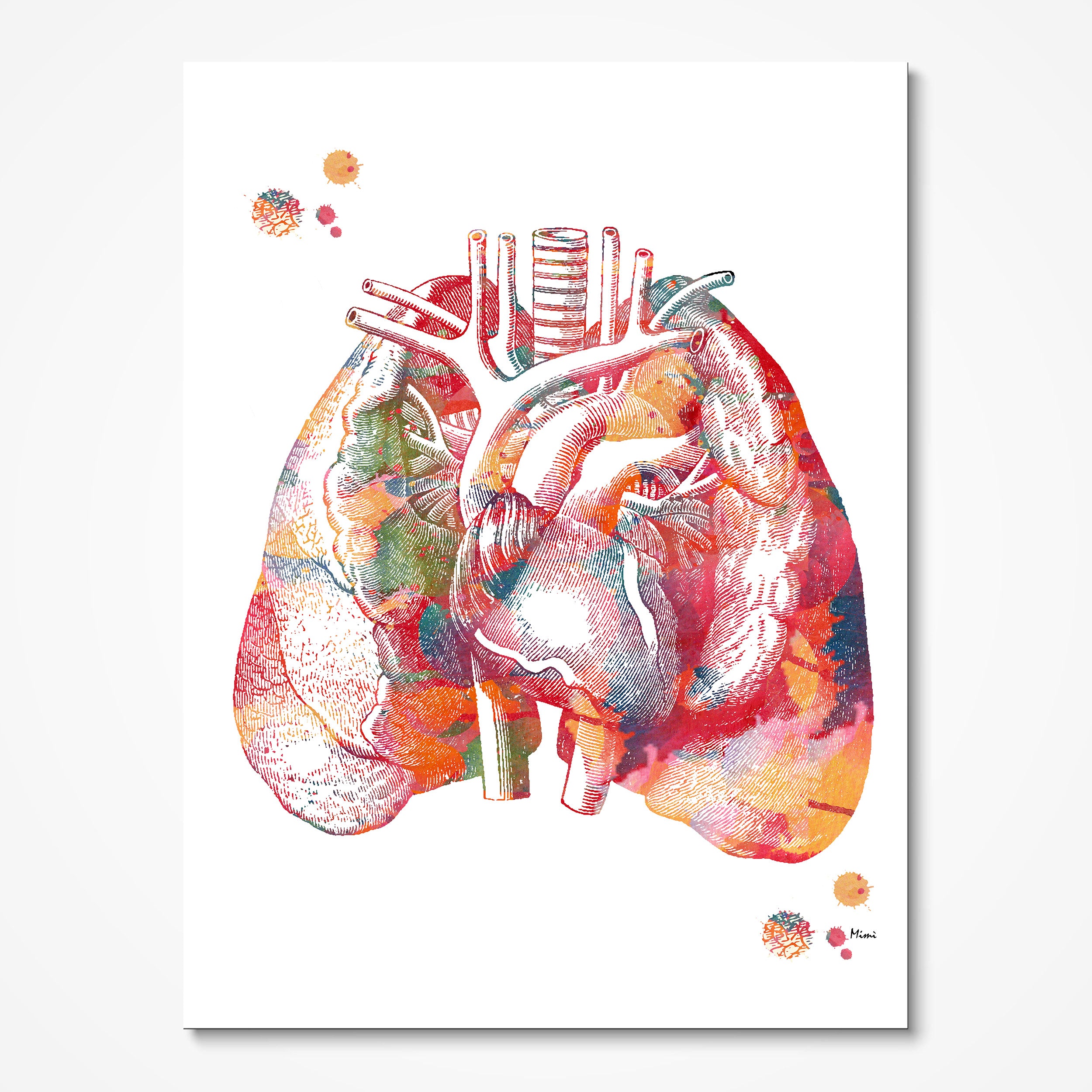 Lungs and heart anatomy watercolor art print for cardiology clinic wall decor