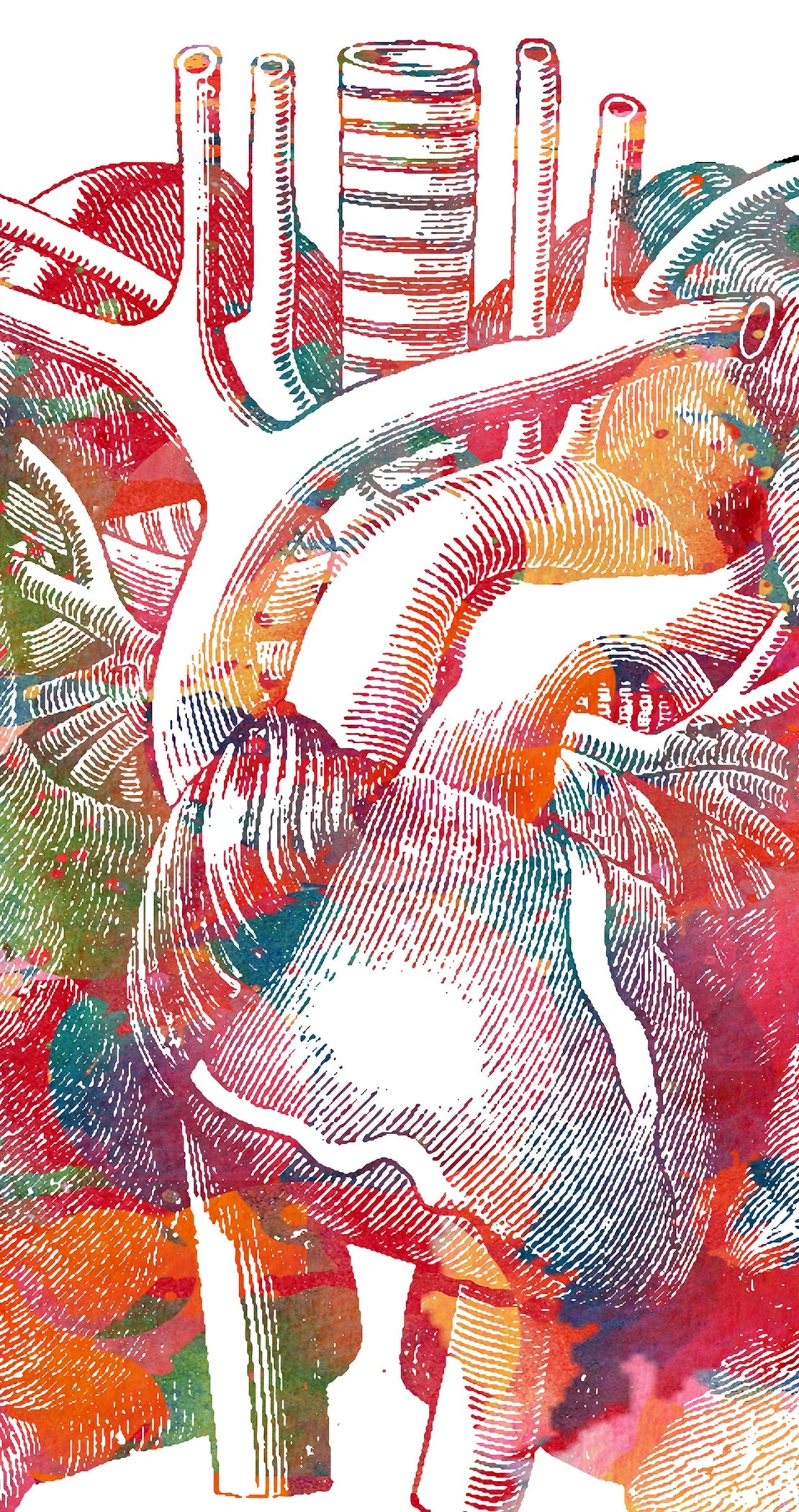 Colorful abstract design of details of the human lungs on a white background