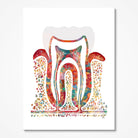 Molar Cross-Section watercolor art print for dental clinic wall decor