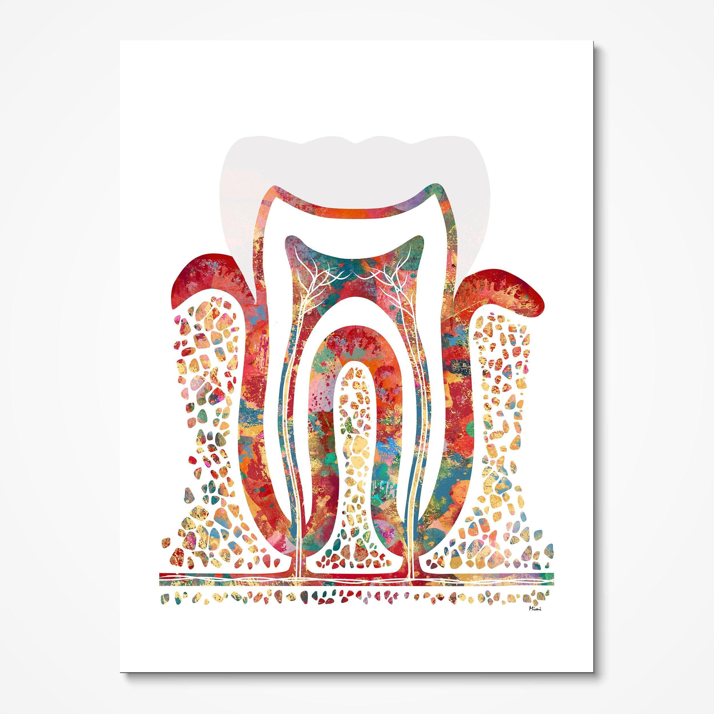 Molar Cross-Section watercolor art print for dental clinic wall decor