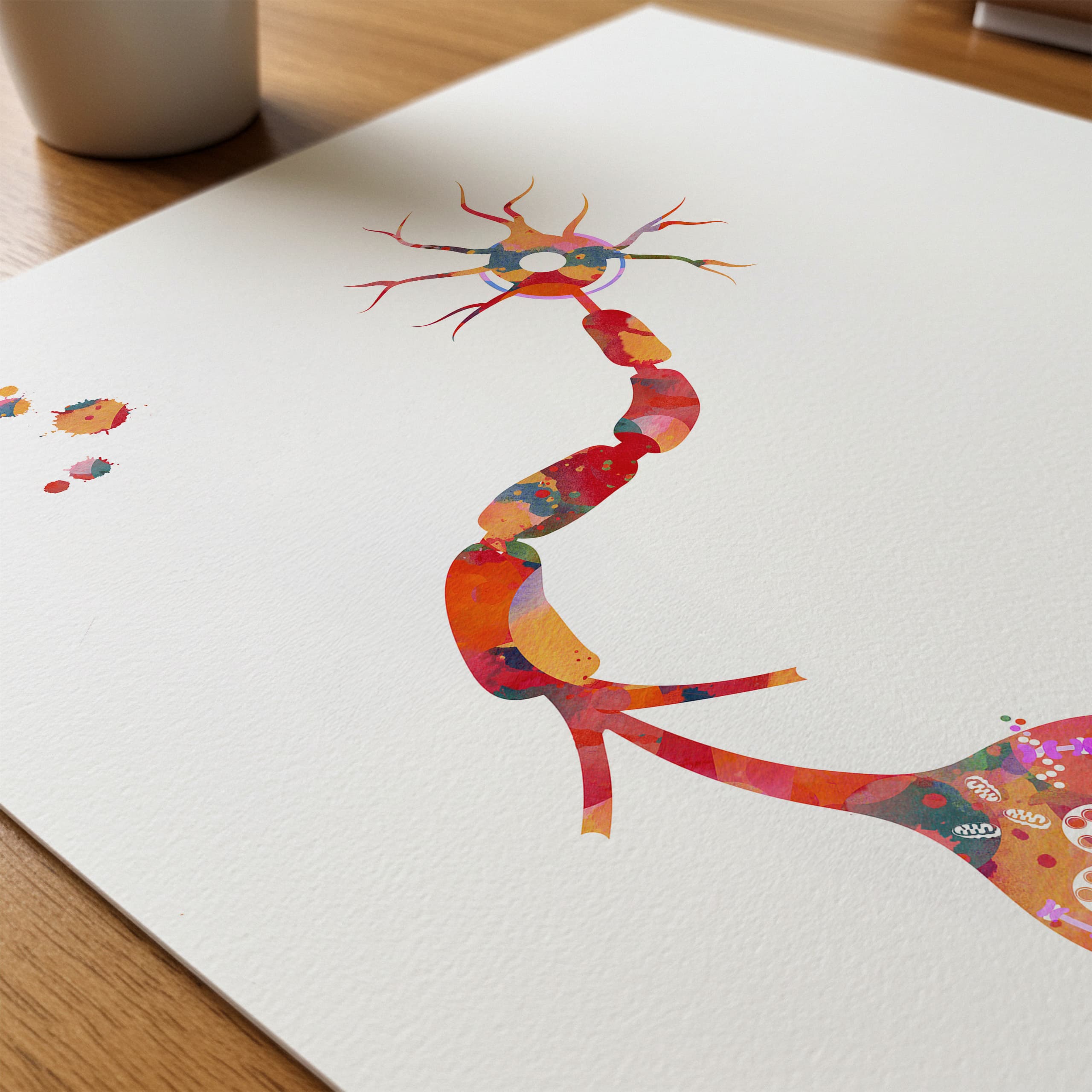 Close-up of neuron & receptor anatomy watercolor print showing paper texture and grain