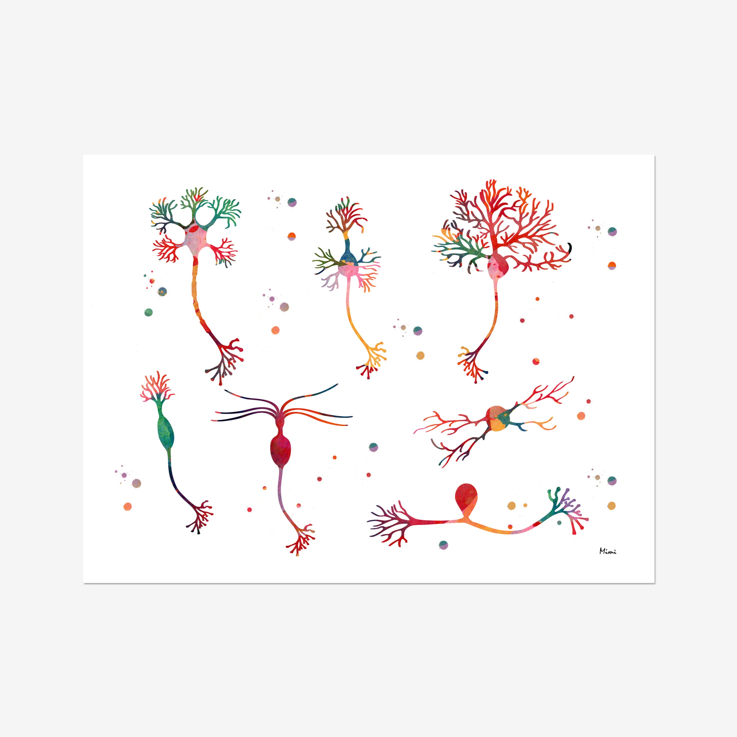 Neuron Cell Types watercolor art print for neurology clinic wall decor