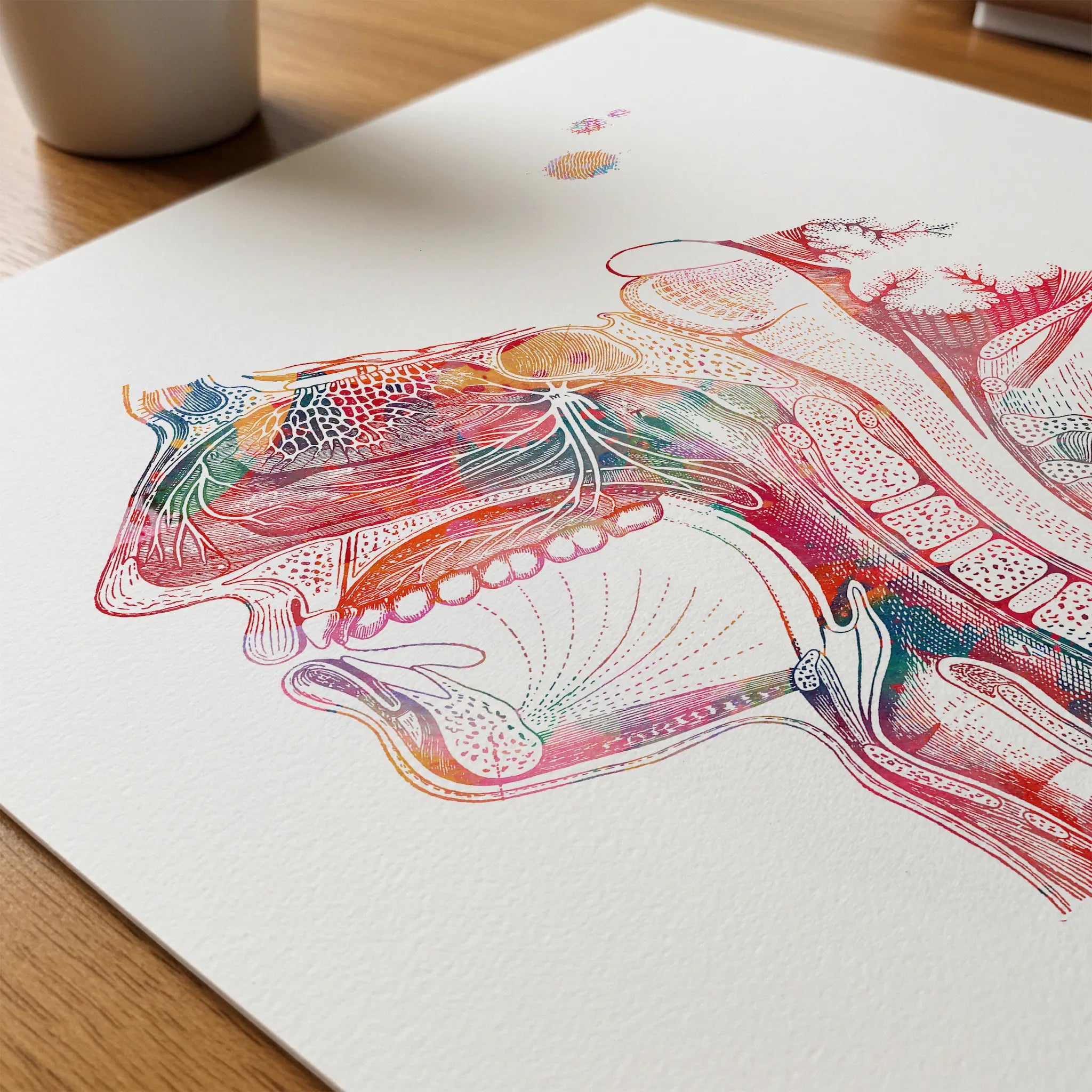 Close-up of nose mouth throat watercolor print showing paper texture and grain