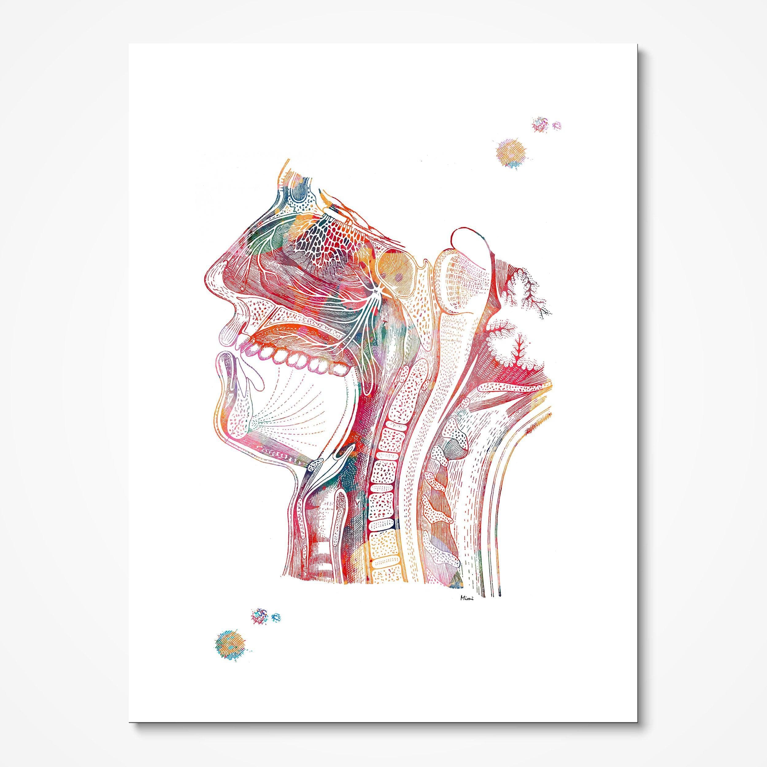 Nose Mouth Throat watercolor art print for ENT clinic wall decor