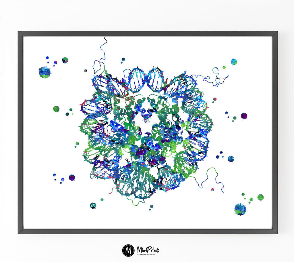 Nucleosome Watercolor Image 2