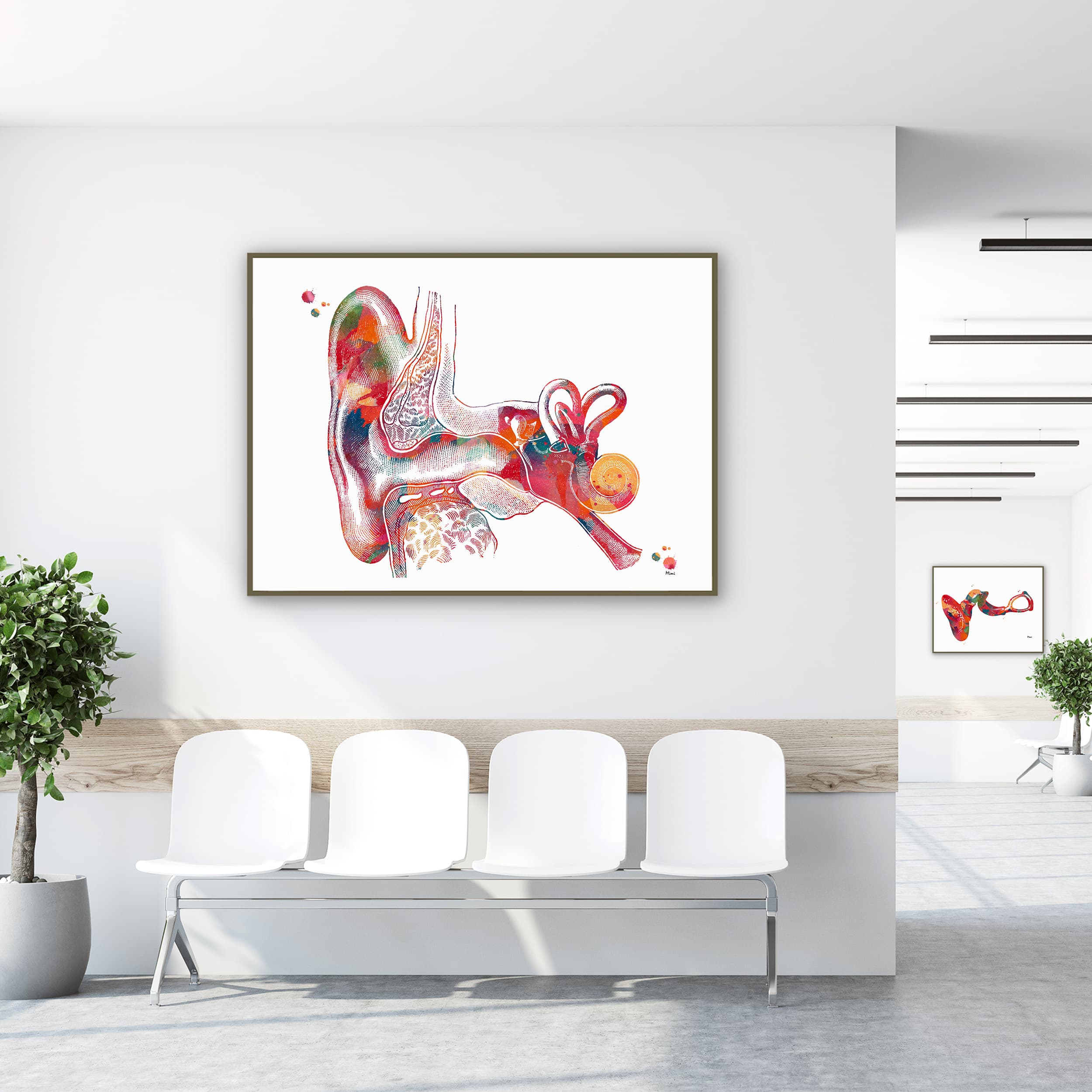 Framed outer ear anatomy watercolor print in a clinic waiting room