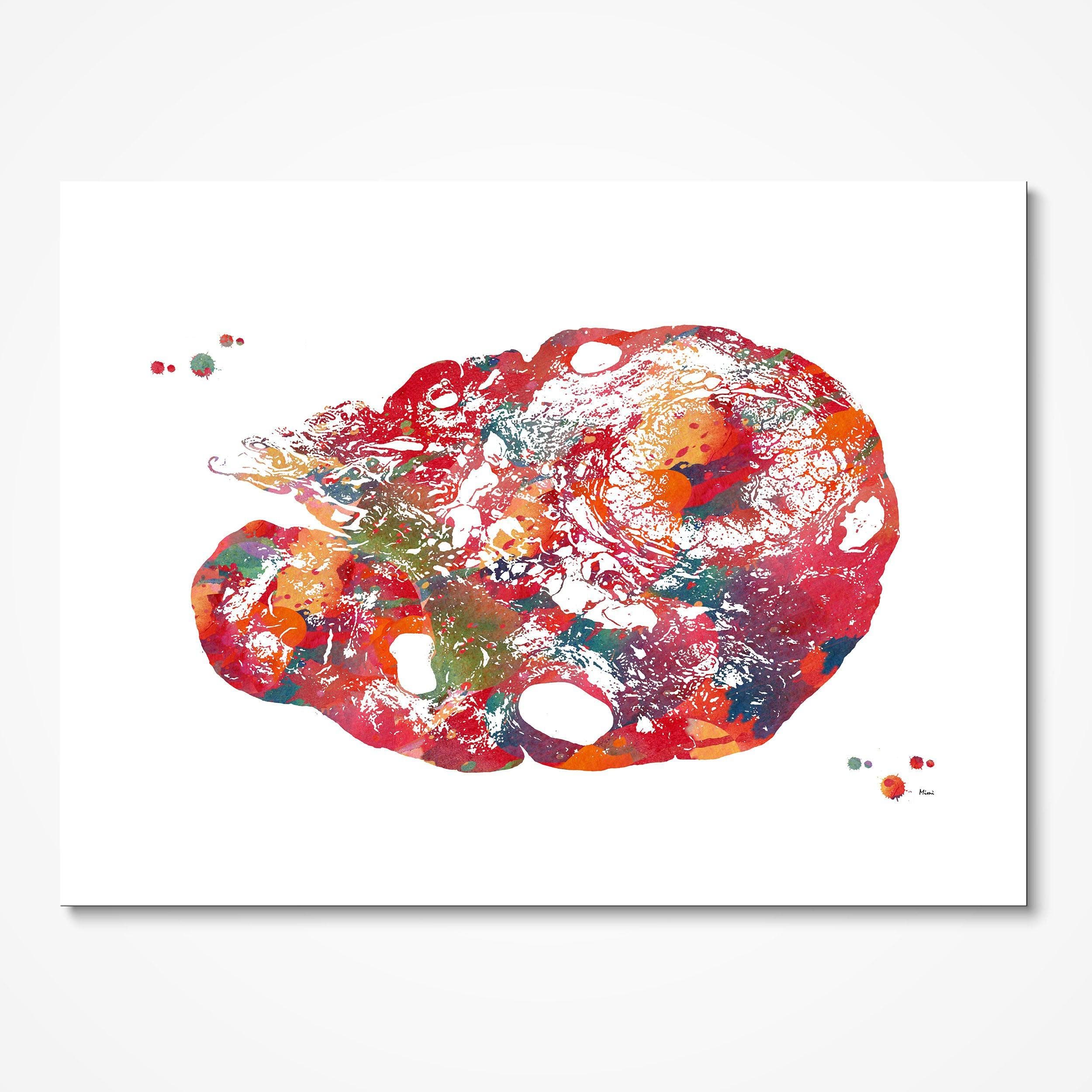 Ovary Anatomy watercolor art print for OB-GYN clinic wall decor