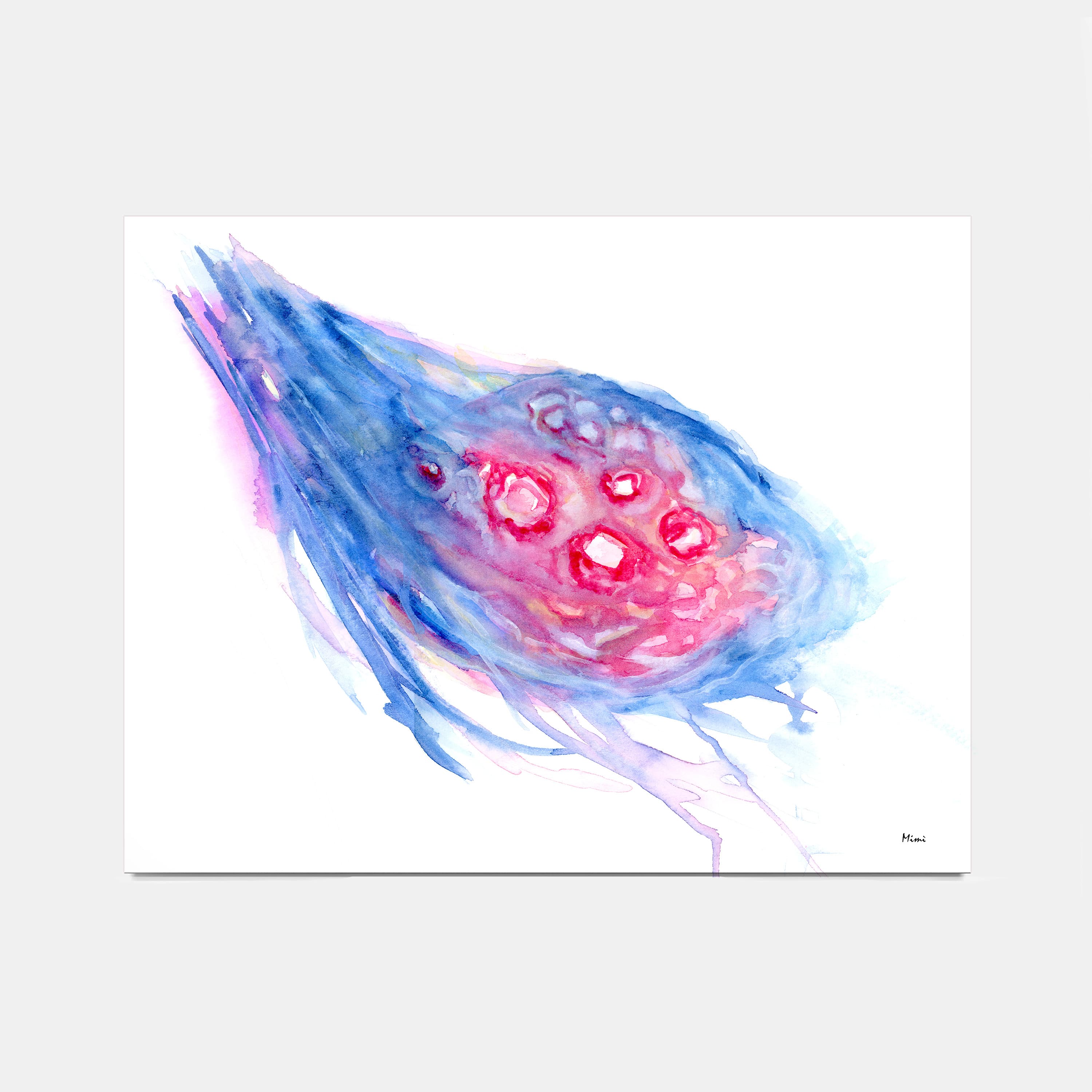 Ovary & Fimbriae watercolor art print for OB-GYN clinic wall decor
