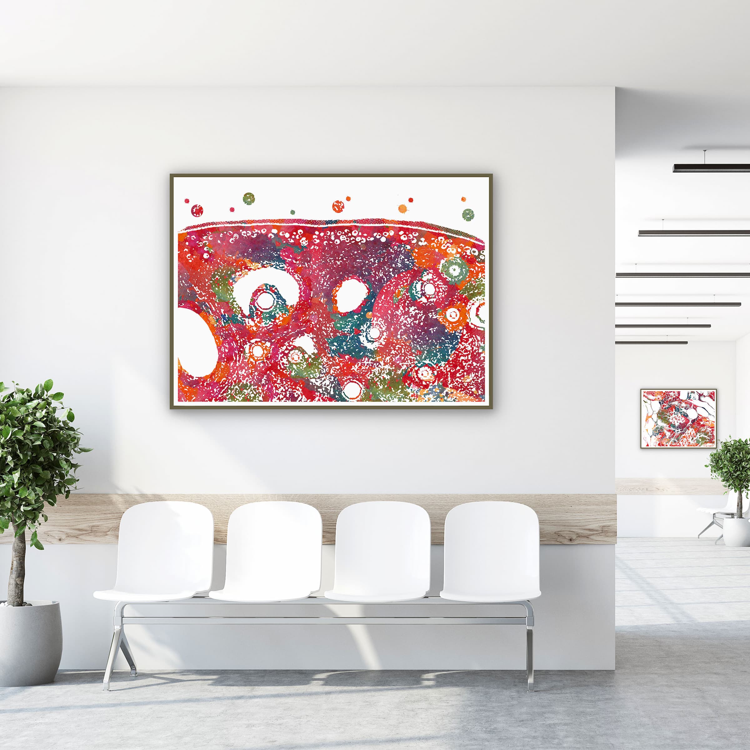 Framed ovary cross-section histology watercolor print in a clinic waiting room