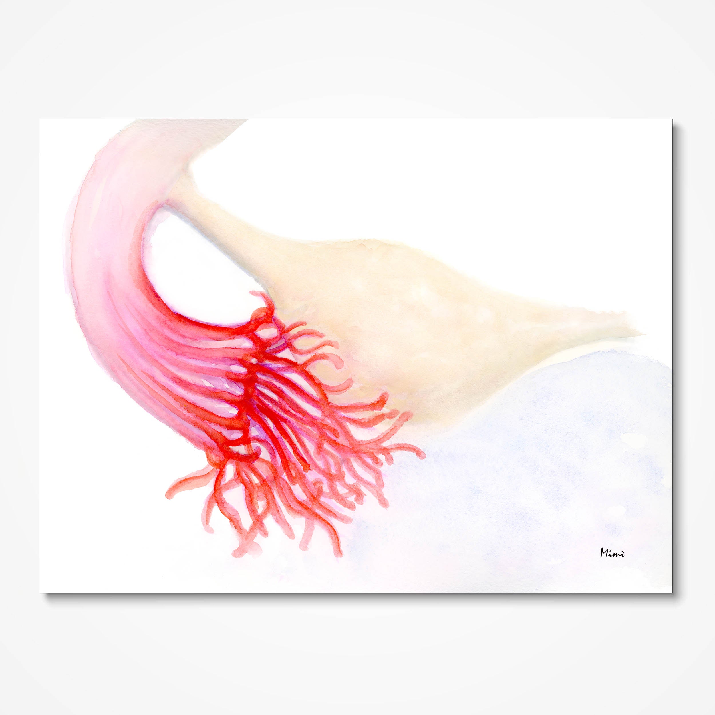 Ovary and Fimbriae Premium Giclée print image 2
