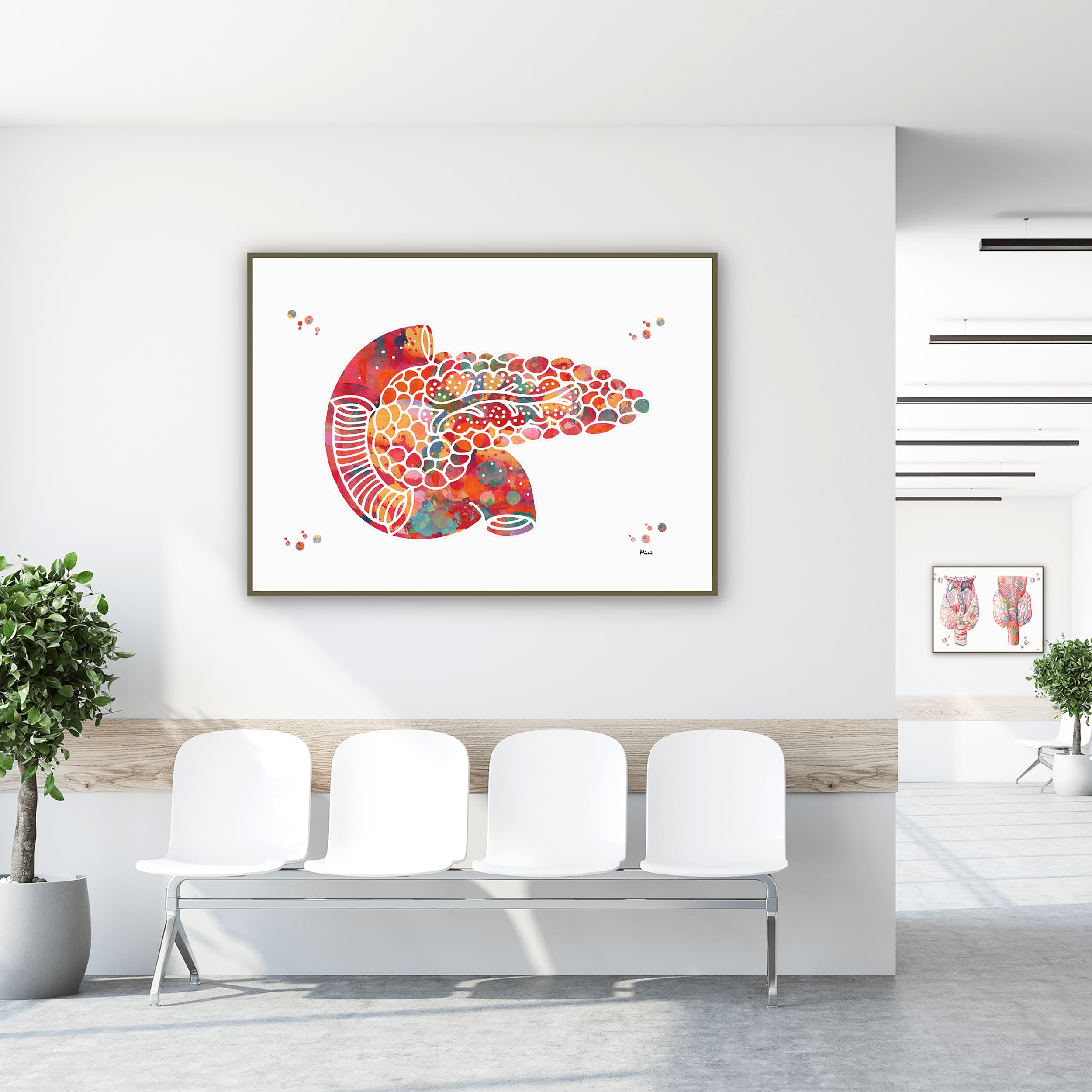 Framed pancreas anatomy watercolor print in a clinic waiting room
