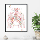 Lymphatic System Anatomy Print Female Pelvic And Inguinal Lymph Nodes image 4