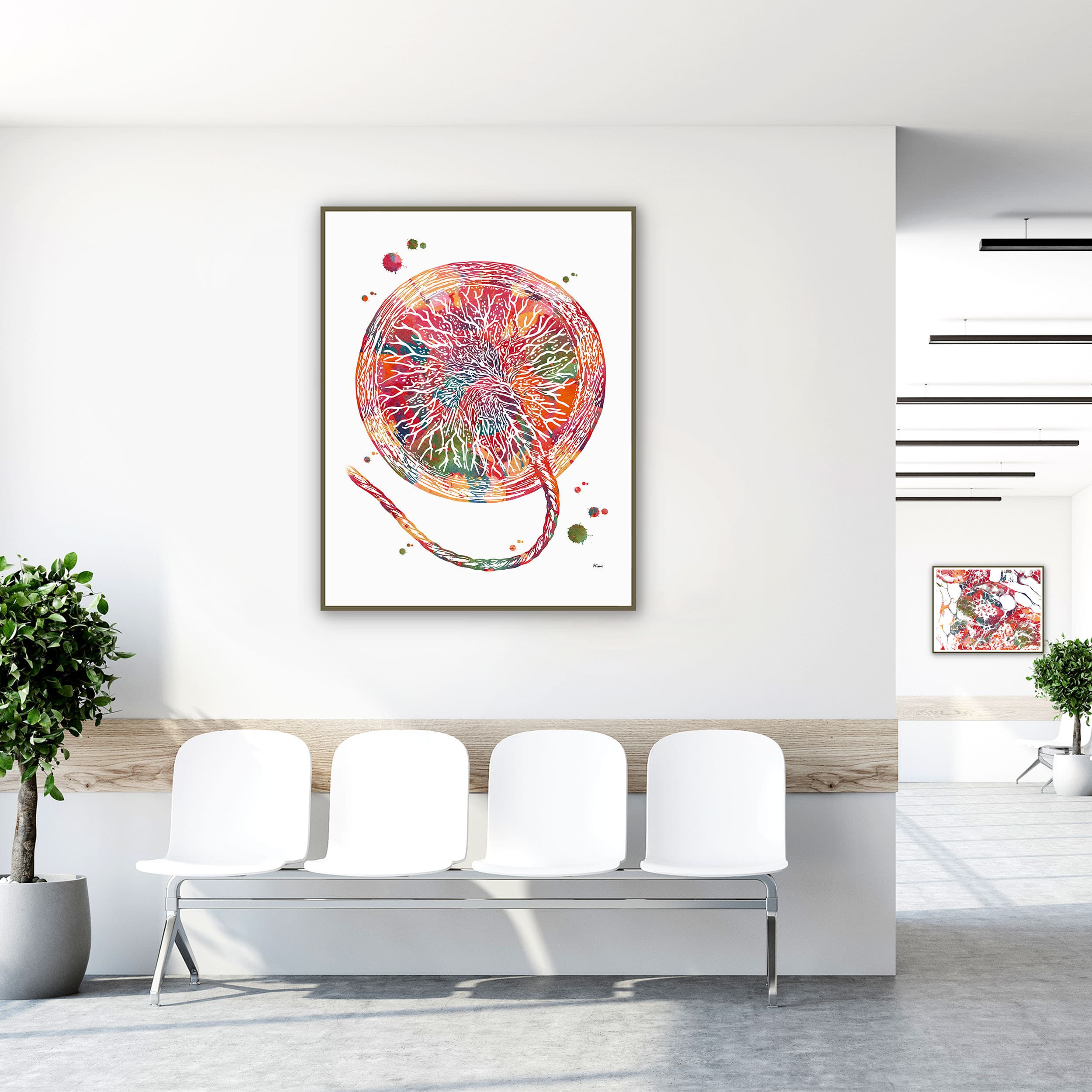 Framed placenta anatomy watercolor print in a clinic waiting room