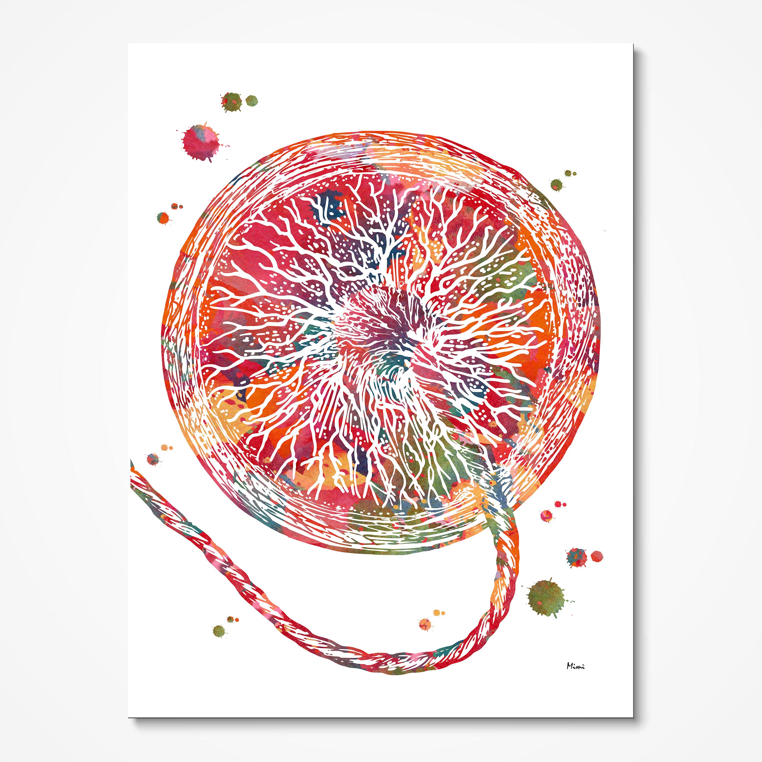 Placenta Anatomy watercolor art print for OB-GYN clinic wall decor